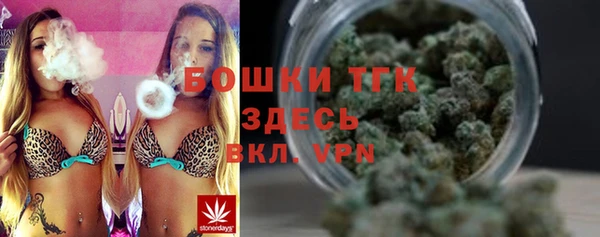 индика Нефтегорск