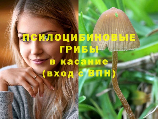 PSILOCYBIN Нефтекумск
