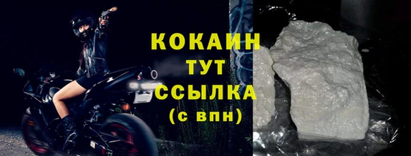 индика Нефтегорск