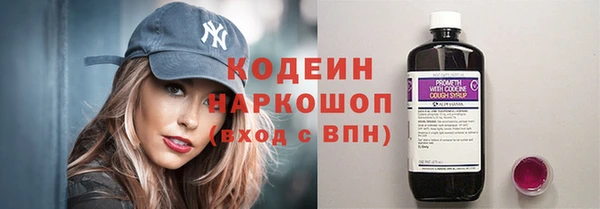 индика Нефтегорск