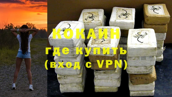 индика Нефтегорск