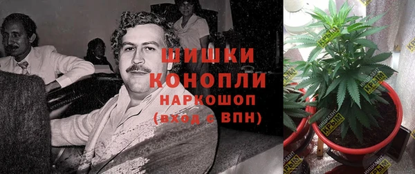 эйфоретик Нея