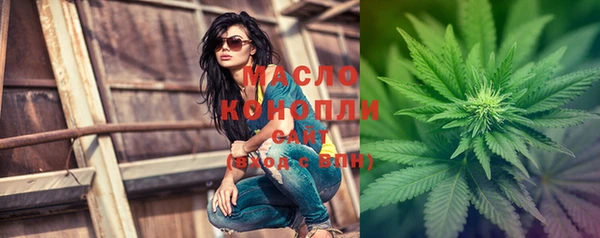 индика Нефтегорск