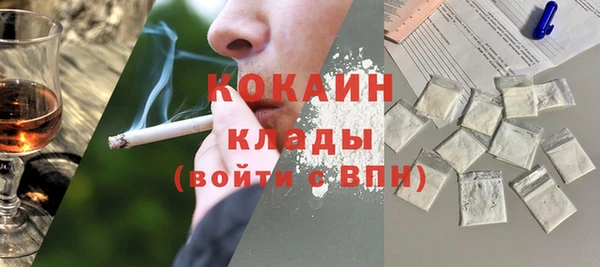 индика Нефтегорск