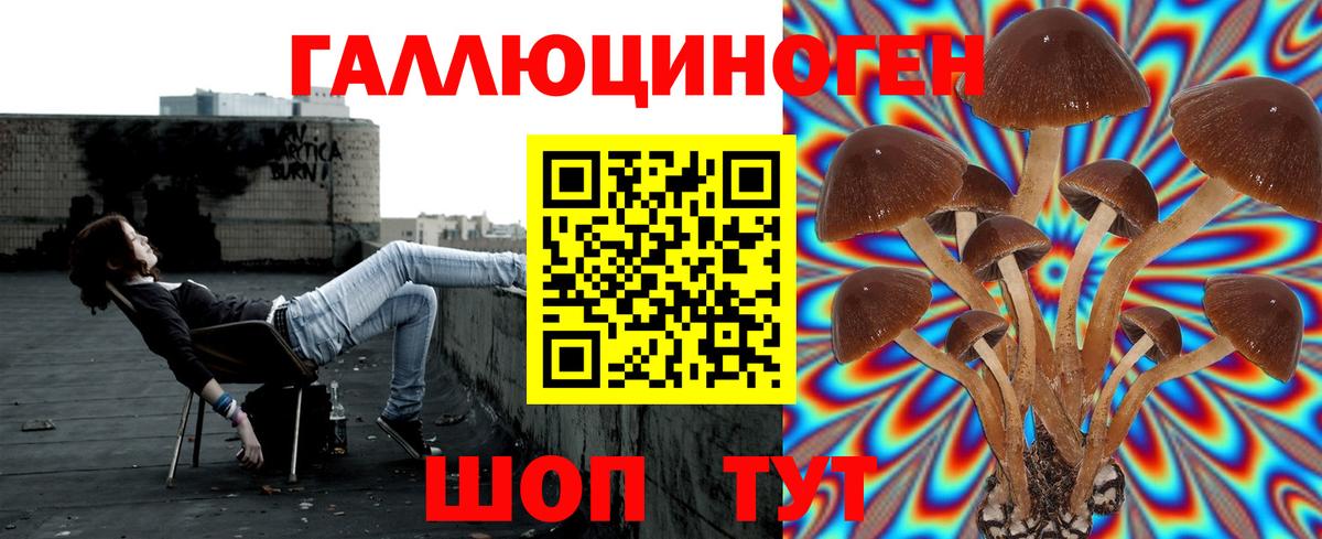 Псилоцибиновые грибы Cubensis  Вход с VPN  Псилоцибиновые грибы мухоморы  цены наркотик  Краснокамск 